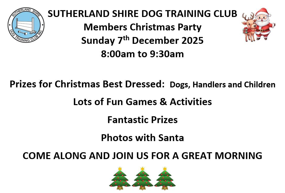 SSDTC - Members Christmas Party - Sunday 7th December 2025